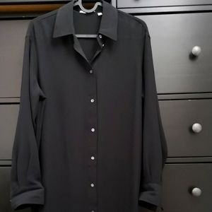 Sheer Aritzia Babaton shirt dress